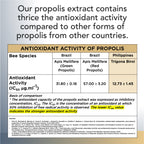 Trigona Propolis Oil 20ml