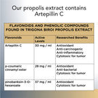 Trigona Propolis Oil 20ml