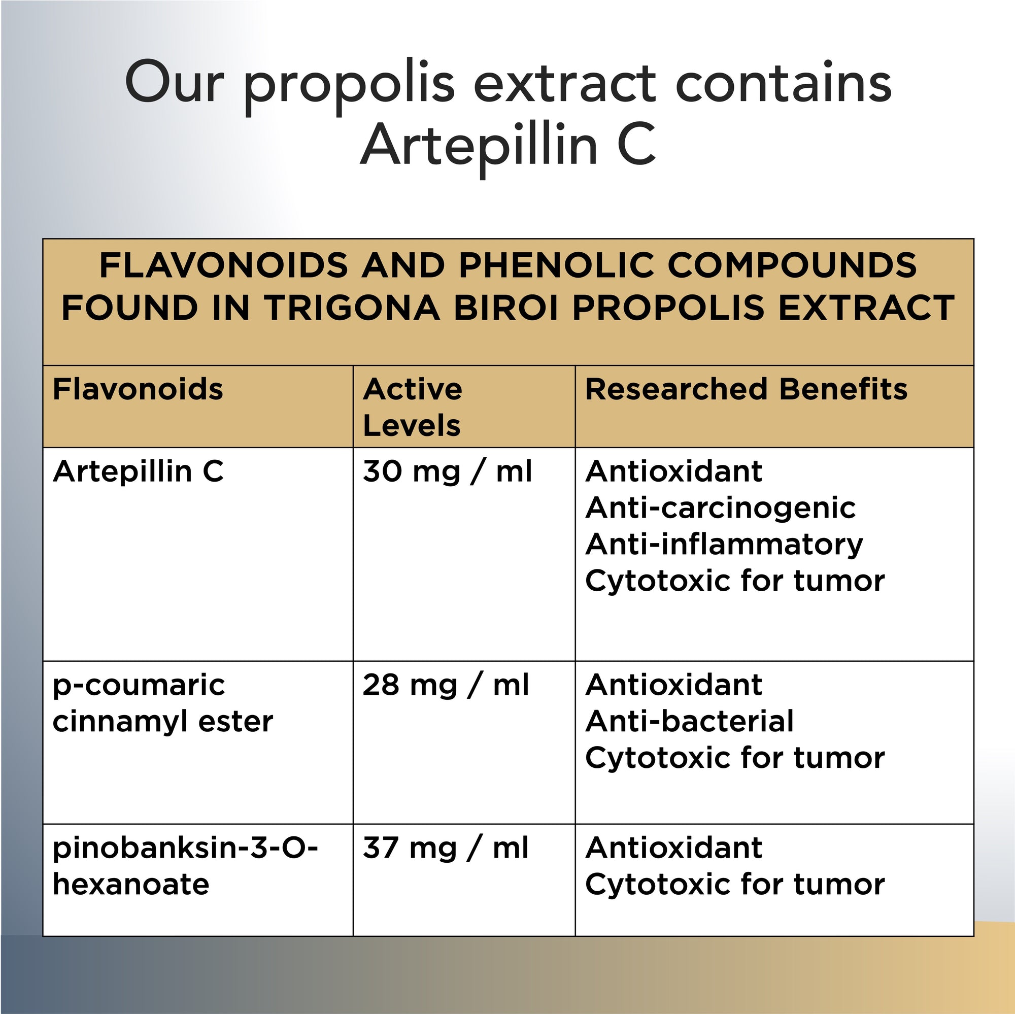 SATURATE Nutri-Pelembap